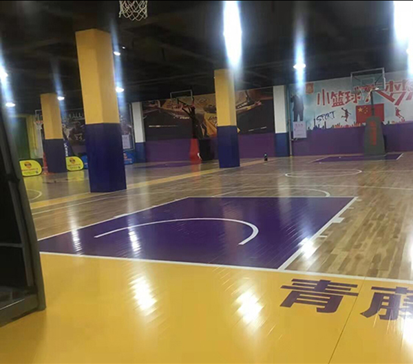 哈尔滨市依兰县青藤少儿篮球培训中心