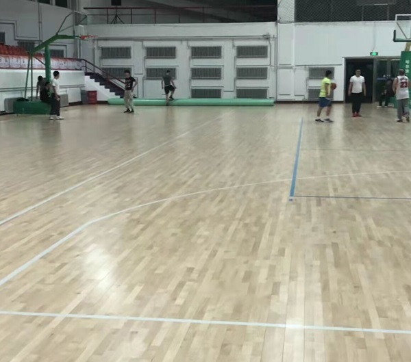 哈尔滨东北农业大学篮球馆（东北硬枫双拼）