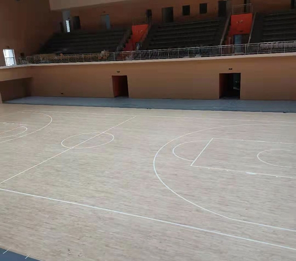 保定市阜平县职业教育学校新校区篮球馆