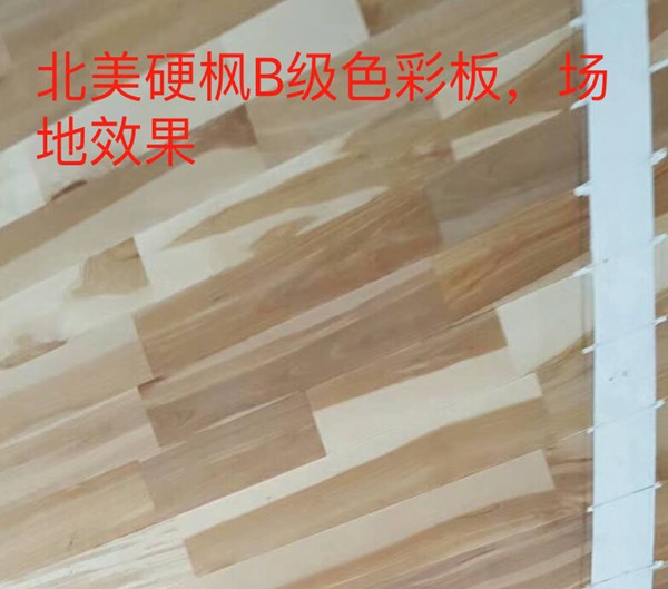 舞台专用地板多少钱