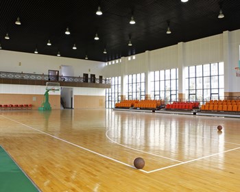 体育运动木地板厂家