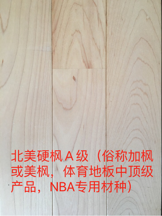 北美硬枫A级
