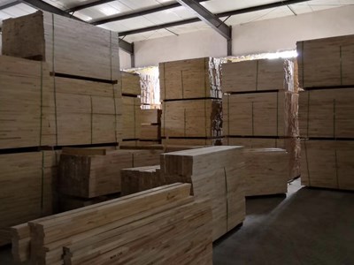 体育运动木地板,体育木地板,运动木地板厂家