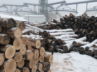 体育运动木地板,体育木地板,运动木地板厂家