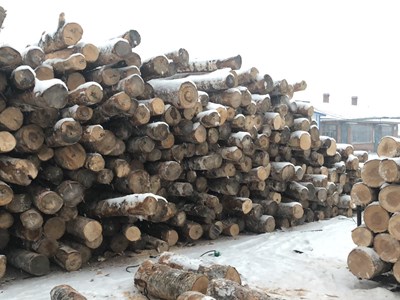 体育运动木地板,体育木地板,运动木地板厂家