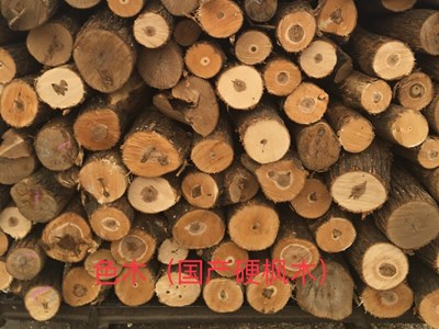 体育运动木地板,体育木地板,运动木地板厂家