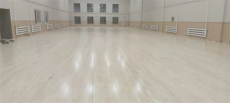 羽毛球馆体育运动木地板
