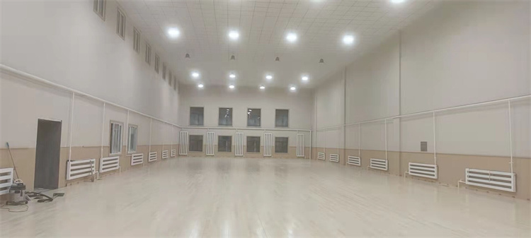 羽毛球馆体育运动木地板