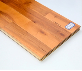 体育运动木地板适合哪些场所